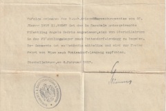 Permesso di viaggio rilasciato ad Angelo Madriz per recarsi da Oberhollabrunn a Pottendorf. 6 febbraio 1917