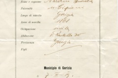 Certificato di identità del Municipio di Gorizia rilasciato a Nardini Aurelia il 7 aprile 1919, a firma Bombig