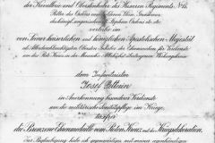 Diploma di attribuzione della medaglia di bronzo della Croce Rossa con nastrino di guerra, per meriti sanitari al soldato Giuseppe Petterin. 20 dicembre 1917 Arciduca Franz Salvator