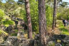 IMG-20260413-WA0100